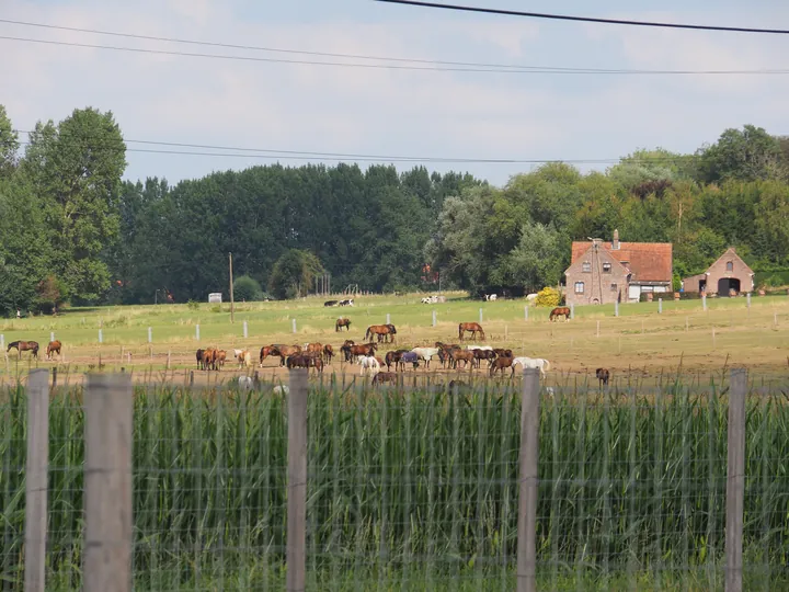 Roborst (Belgium)